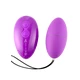 Cnex Egg Remote Control 10 Violet  - Vibrační vajíčko na dálkové ovládání fialové
