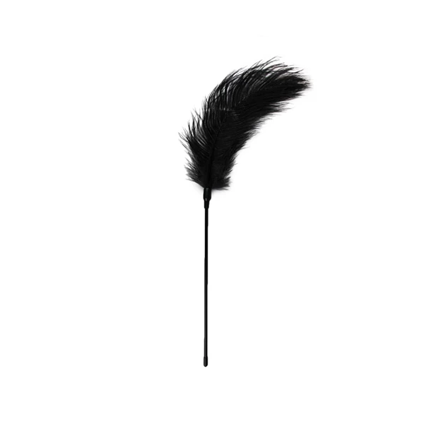 Easy Toys Black Feather Tickler - Piórko do łaskotania, czarne