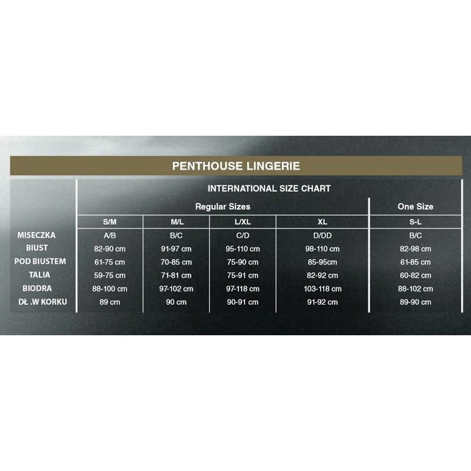 Penthouse High Profile - Bodystocking, Czarny