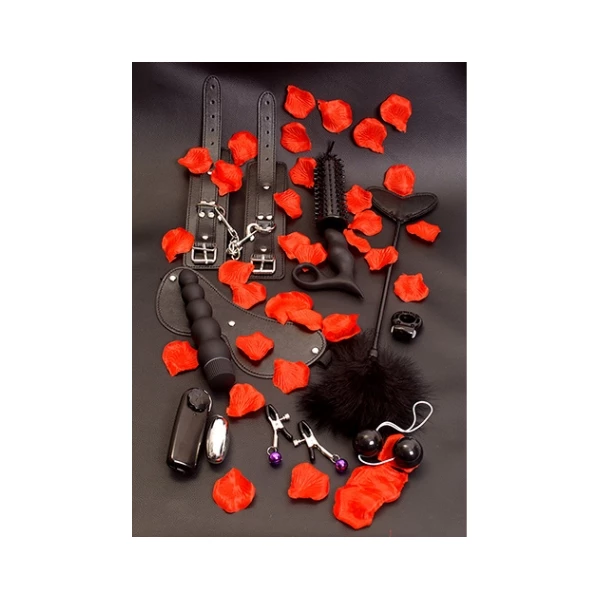 ToyJoy Lovetoy Starter Kit - Zestaw gadżetów