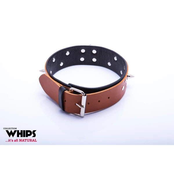 Whips Collection - Obroża Męska Ze Smyczą, Koniakowa