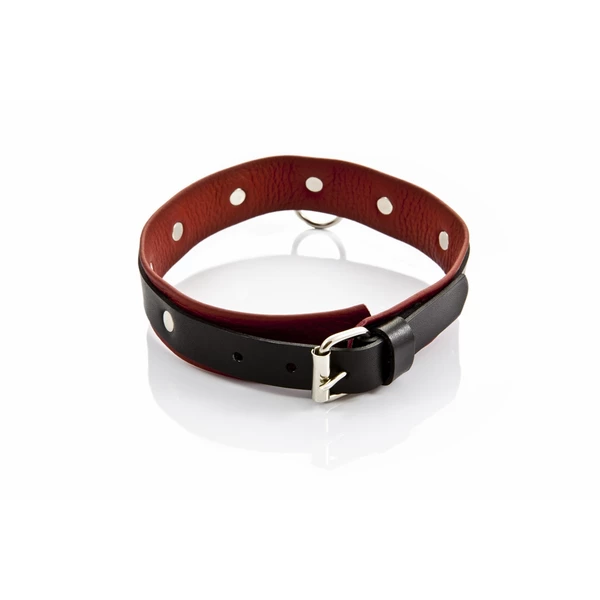 Whips Collection - Obroża Damska Średnia
