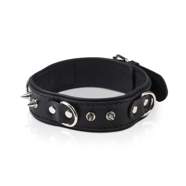 Whips Collection - Obroża Męska Z Półkółkami I Smyczą