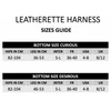 Strap-on-me leatherette harness curious - Pas do strap on