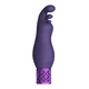 Royal Gems Exquisite Rechargeable Silicone Bullet Purple - Bodový vibrátor, fialový