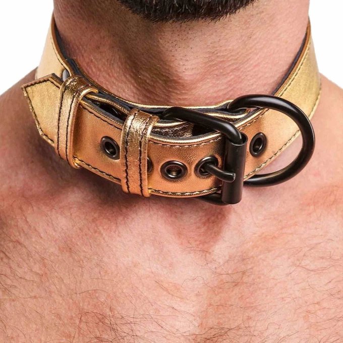 Lovetoy Bondage Fetish Metallic Pup Collar With Leash gold - Obroża ze smyczą, Złoty