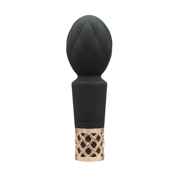 Pillow Talk Secrets Pleasure Wand Black - Wibrator wand