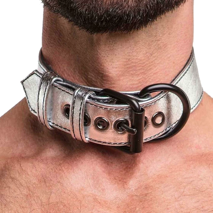 Lovetoy Bondage Fetish Metallic Pup Collar With Leash silver - Obroża ze smyczą, Srebrny