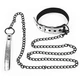 Lovetoy Bondage Fetish Metallic Pup Collar With Leash silver - Obojek s vodítkem, stříbrný