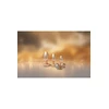 Dream Toys Gleaming Love Pearl - Korek analny z serduszkiem, Złoty, M