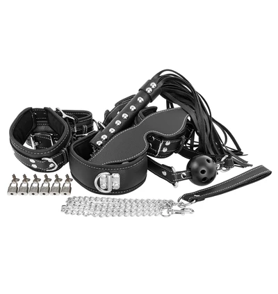 Erospace Wild Play C10 - Luxus Sada BDSM