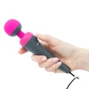 PowerBullet PalmPower Plug &amp; Play Wand Massager - Wibrator wand